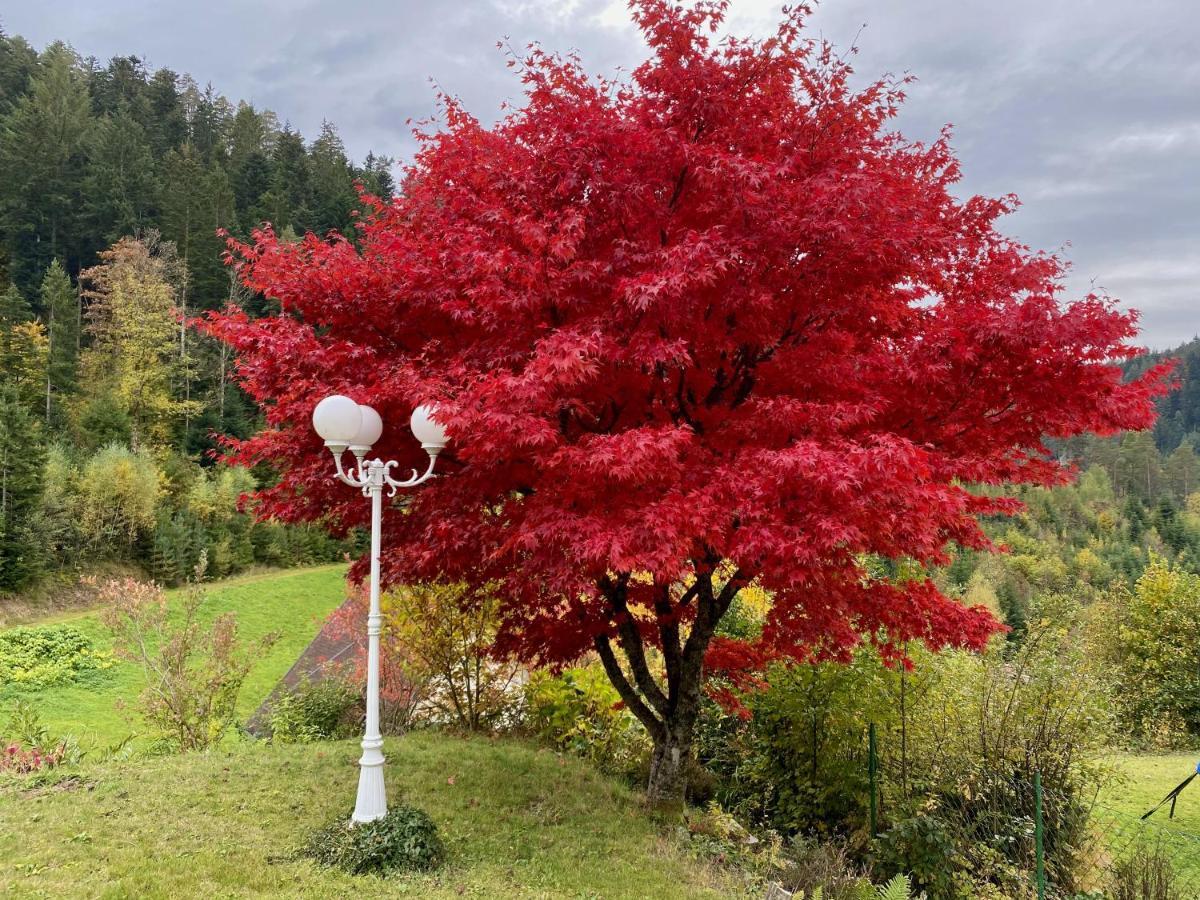 Ferienwohnung Zur Bierliebe - Mit Toller Aussicht Im Herzen Des Schwarzwaldes Hornberg Luaran gambar